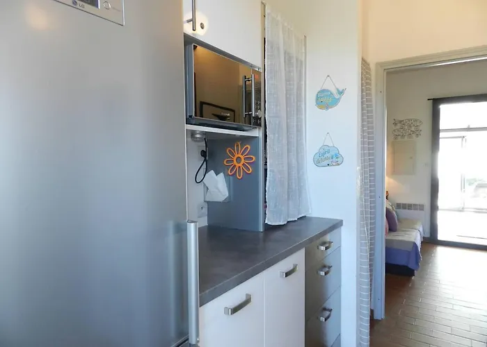 2 Pièces Avec Terrasse Et Parking Au Lavandou - Fr-1-251-926 * Le Lavandou