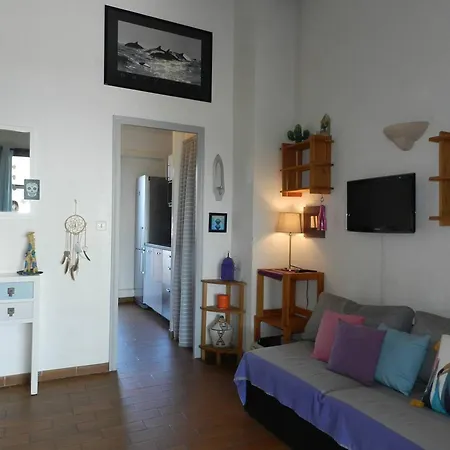 2 Pieces Avec Terrasse Et Parking Au Lavandou - Fr-1-251-926 Apartment