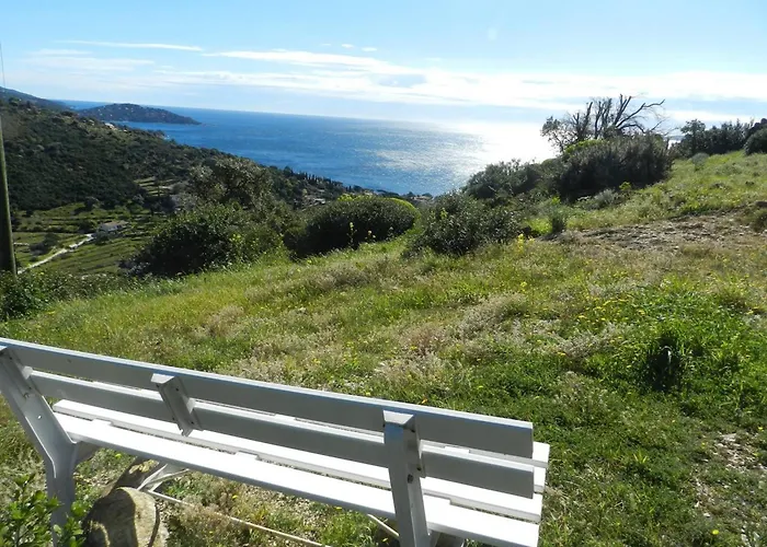 2 Pieces Avec Terrasse Et Parking Au Lavandou - Fr-1-251-926 Lägenhet *