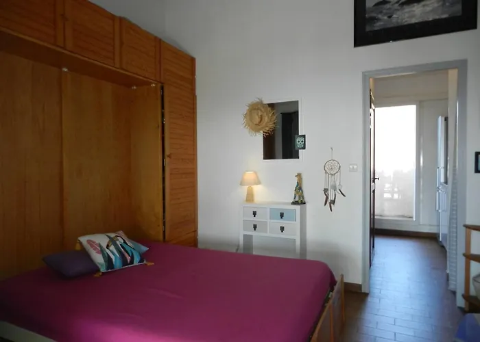 Lägenhet 2 Pieces Avec Terrasse Et Parking Au Lavandou - Fr-1-251-926 Le Lavandou